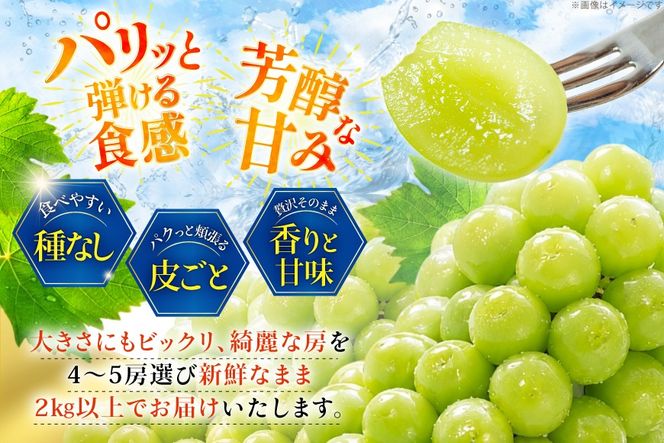 【2026年発送】 シャインマスカット 先行予約 頬張る幸福感 ～緑の宝石・シャインマスカット～ 2kg 以上 (4～5房) [REGALO 山梨県 韮崎市 20745475] シャイン マスカット ブドウ ぶどう 葡萄 フルーツ 果物 くだもの 4房 〜 5房 2キロ 山梨 山梨県産 先行受付