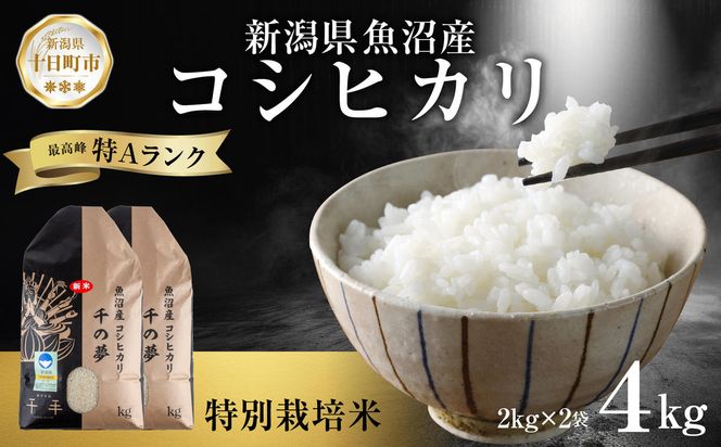 魚沼産 コシヒカリ 特別栽培米 精米 4kg 米 コメ お米 ごはん ご飯 白米 こしひかり 新潟県産 魚沼 人気 国産 産地直送 お取り寄せ 送料無料 新潟県 十日町