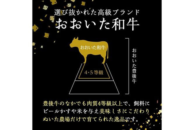 おおいた和牛 ミスジ 焼肉 (200g) 国産 牛肉 肉 霜降り 低温熟成 A4 和牛 ブランド牛 BBQ 冷凍 大分県 佐伯市【DH224】【(株)ネクサ】