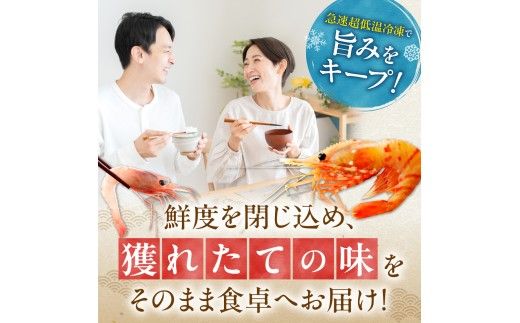 【獲れたての味！】ボタンエビ300g・甘エビ300g・ボイルシャコ300g 3種セット 獲れたて急速冷凍 北海道余市近海 海鮮 海の幸 超低温冷凍 鮮度抜群 刺身用  食べ比べ 詰め合わせ_Y022-0028