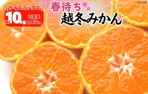 みかん 春待ち 越冬みかん 箱込10kg(内容量9.2kg) 等級／サイズミックス 和歌山県産 産地直送 AX433