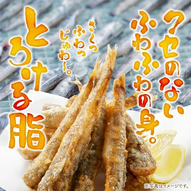 延岡産めひかり無頭小サイズ500g×2袋 N0184-YA2268