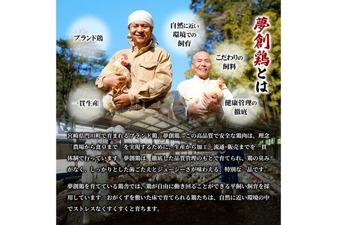 黒にんにく入りタレにじっくり漬け込んだ唐揚げ(300g×2P) 鶏肉 肉 からあげ 国産 から揚げ カラアゲ 冷凍 便利 惣菜 宮崎県 門川町 【MK-01】【株式会社MOMIKI】
