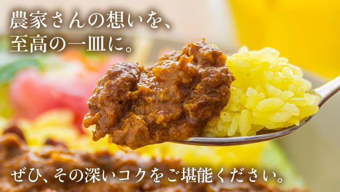 梨 の チャツネ（ペースト） を使った 牛すじ カレー 3個 セット レトルト 常温保存 備蓄 非常食 牛すじカレー コク 旨味 中辛 オリジナル グッズ 筑西市 限定 梨 なしカレー [DS002ci]