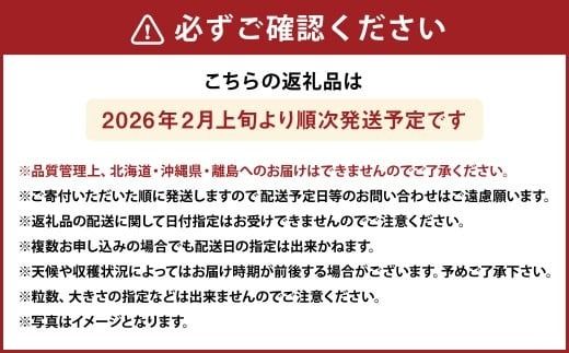 化粧箱入り プレミアム あまおう 約400g×1パック 【ギフト ・ お祝い ・ 贈答用】 【2026年2月上旬～2026年4月上旬発送予定】 苺 いちご 果物 果実 フルーツ 国産 九州 福岡県 香春町 冷蔵