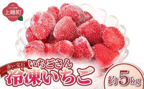 ◆赤い宝石◆いちごさん 冷凍いちご 5kg（500g×10袋）