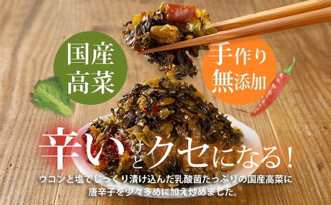 辛子高菜 240g×2パック（480g） 山賊の高菜 からし高菜 メール便 ポッキリ お米に合う ご飯のお供 おつまみ 国産 無添加 お取り寄せ 福岡 お土産 九州 グルメ 福岡県