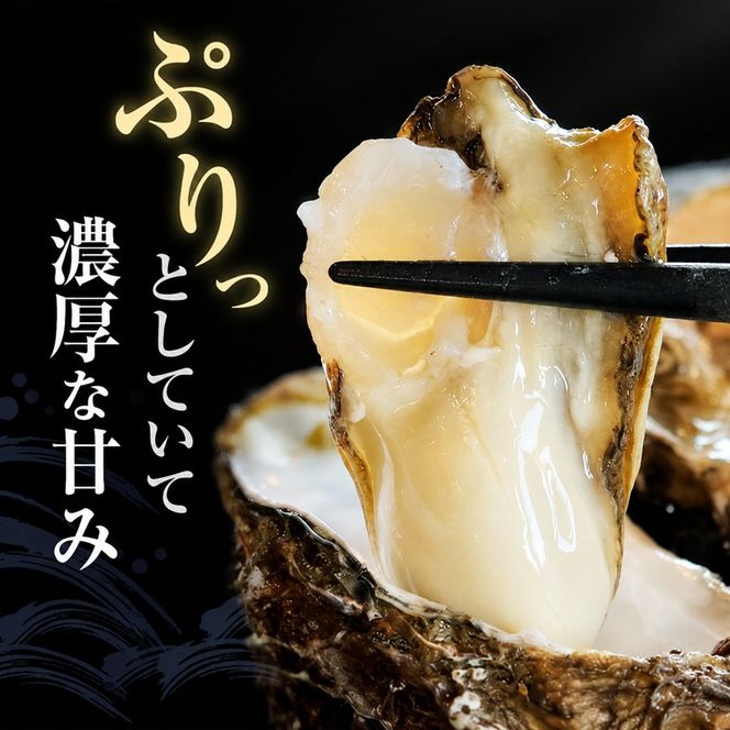 厚岸産 殻牡蠣 Lサイズ 20個 セットカキ 牡蠣 魚介類 送料無料 新鮮 濃厚 大粒 マルえもん メルマガ掲載商品2 