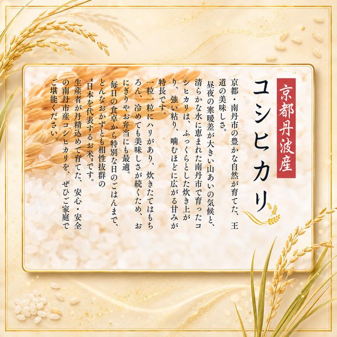定期便 令和8年産 京都丹波産 コシヒカリ 10kg 12回 京都 お米 米 令和8年 10キロ 新米 新米26