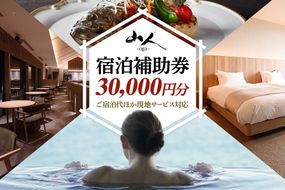 宿泊補助券 山人-oga- 30,000円分 秋田県男鹿市 [宿泊 旅行 補助 チケット]|23_ymd-010301