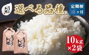 957.【品種が選べる！】日置さん家のお米　12ヶ月定期便　１０kg×２袋×12回 313726_AE039