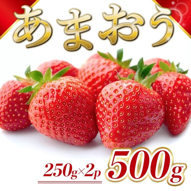 いちご 福岡県産 あまおう 500g (250g×2パック) 先行予約 2026年12月より順次発送 果物 デザート ※配送不可：離島 