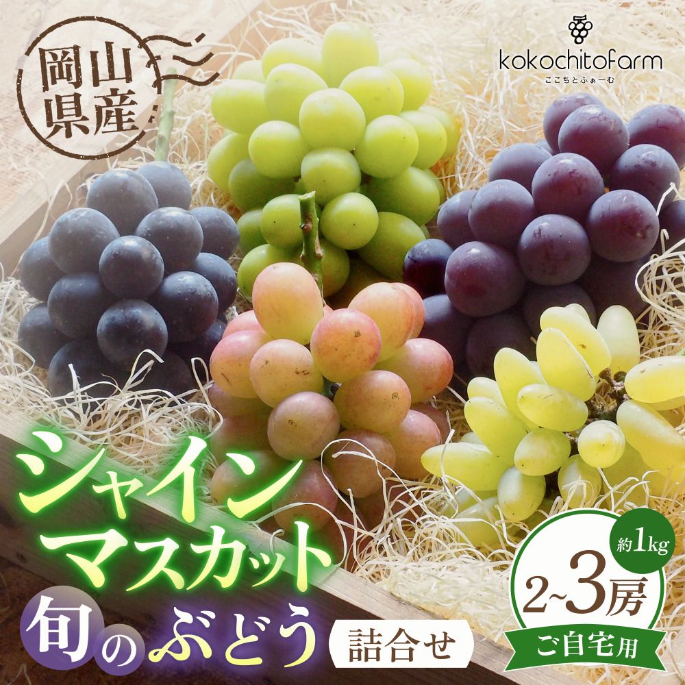 [2026年先行予約] ここちとふぁーむ [ご自宅用] 岡山県産 シャインマスカット&旬のおまかせぶどう 2〜3房 約1kg [koko016-01]