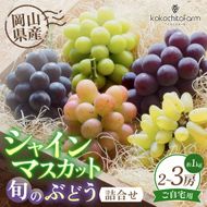 【2026年先行予約】 ここちとふぁーむ 【ご自宅用】 岡山県産 シャインマスカット＆旬のおまかせぶどう 2～3房 約1kg 【koko016-01】
