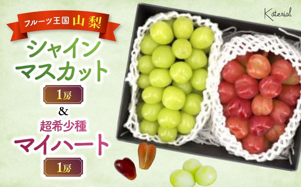 [2026年発送]シャインマスカット(1房)&マイハート(1房)約1.2kg[ぶどう 葡萄 シャイン シャインマスカット マイハート くだもの 果物 フルーツ 人気 2種 詰め合わせ ギフト 贈答 新鮮 山梨県 山梨 甲斐市]AD-303