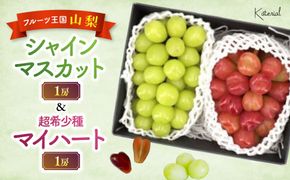 【2026年発送】シャインマスカット（1房）&マイハート（1房）約1.2㎏［ぶどう　葡萄　シャイン　シャインマスカット　マイハート　くだもの　果物　フルーツ　人気　2種　詰め合わせ　ギフト　贈答　新鮮　山梨県　山梨　甲斐市］AD-303