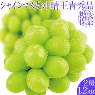2026年予約受付中 シャインマスカット晴王2房 約1.2kg 7月～8月出荷 人気 岡山県産 種無し 皮ごと食べる みずみずしい フレッシュ 晴れの国 おかやま 果物大国 ハレノフルーツ