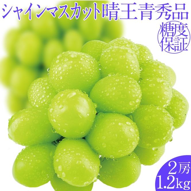 2026年予約受付中 シャインマスカット晴王2房 約1.2kg 7月～8月出荷 人気 岡山県産 種無し 皮ごと食べる みずみずしい フレッシュ 晴れの国 おかやま 果物大国 ハレノフルーツ