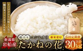 【新米受付・令和8年産米】【定期便：6ヶ月連続でお届け】新潟県村上市岩船産 棚田米コシヒカリ「たかねの花」 5kg×6ヶ月　1104004N