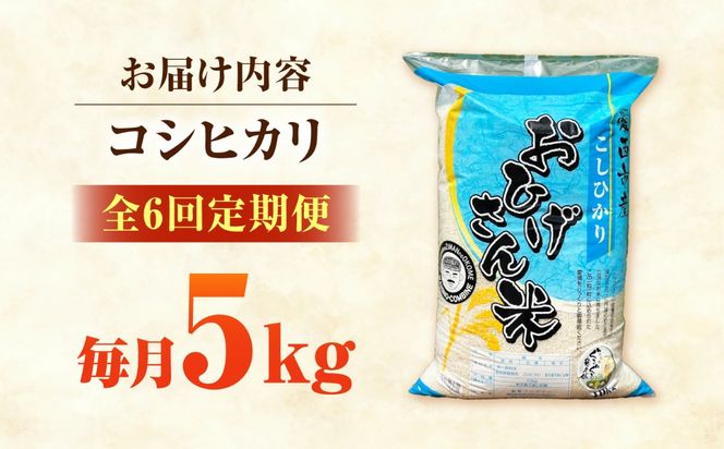 【6回定期便】コシヒカリ 白米 5kg×6か月 / 脇野コンバイン[AECP025]