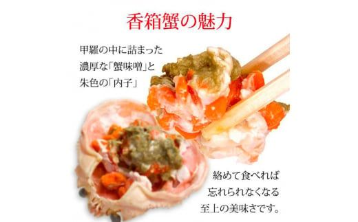 【11月12日～12月15日発送】石川県産 香箱蟹 せいこ 小サイズ 10匹 詰合せ F6P-3476