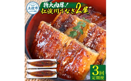 【3回定期便】仁淀川特大肉厚うなぎ2尾セット 定期コース 3ヶ月 タレ付き 