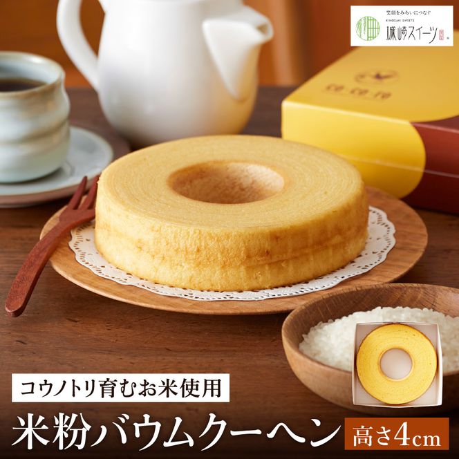 yɌLsz(REmgނĎgp)ĕoEN[wiH4cmj 3