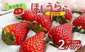 【2026年先行予約】 富良野産 いちご ほしうらら 小玉 10～12粒×2パック　［ フルーツ 果物 新鮮 贈り物 ギフト フルーツ 生いちご イチゴ 苺 大粒 甘い 道産 北海道 富良野 ］