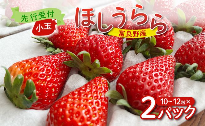 【2026年先行予約】 富良野産 いちご ほしうらら 小玉 10～12粒×2パック　［ フルーツ 果物 新鮮 贈り物 ギフト フルーツ 生いちご イチゴ 苺 大粒 甘い 道産 北海道 富良野 ］
