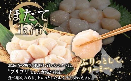 3200. 訳あり ホタテ 1kg 帆立 生ほたて 貝柱 いくら醤油漬け 200g×2個 セット イクラ しょうゆ漬け 海鮮 送料無料 北海道 弟子屈町