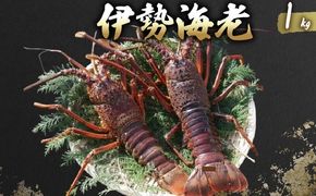 活 伊勢海老 訳あり 1kg(3～5匹) 冷蔵 – 活き伊勢海老 訳あり 室戸産 国産 エビ えび 海鮮 魚介 産地直送 プリプリ 味噌汁 刺身 焼き物 汁物 室戸海洋深層水 黒潮 高知県 室戸市