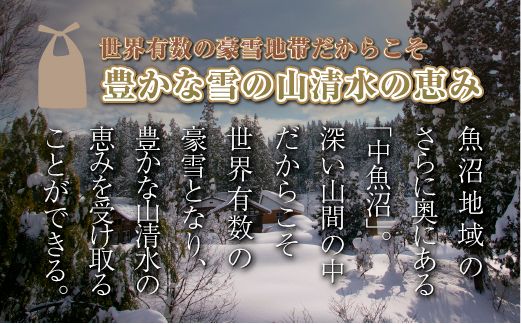 【定期便／全4回】無洗米2kg 新潟県魚沼産コシヒカリ「山清水米」 