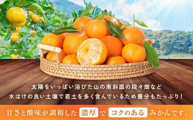 [秀品]有田のブランド「賢みかん」5kg(Mサイズ) ［2026年11月中旬頃より順次発送］ BZ008 