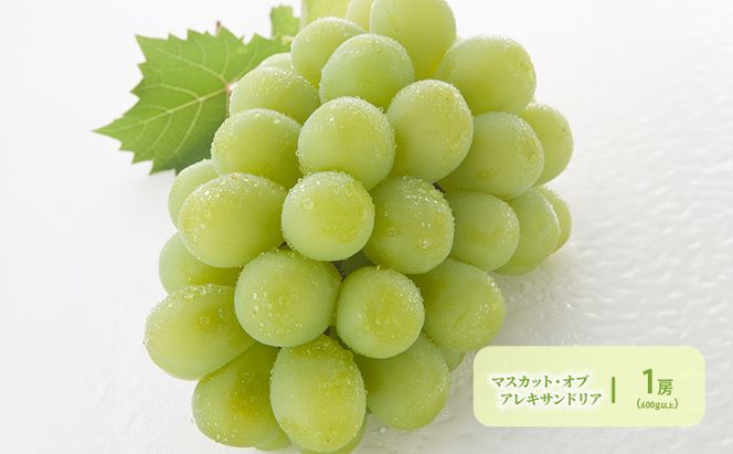 フルーツ 2026年 先行予約 晴れの国 岡山 の フルーツ 定期便 6回コース 岡山県産 桃 もも 葡萄 ぶどう 梨 なし 