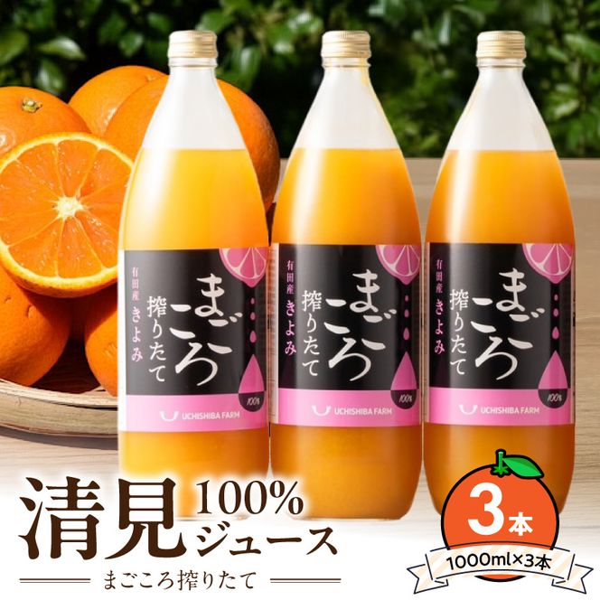 ZE6522_【まごころ搾りたて】清見100%ジュース 1000ml×3本
