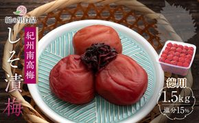 紀州南高梅 徳用 しそ漬梅 1.5kg×1箱 ［Kn9］ 303446_CQ009
