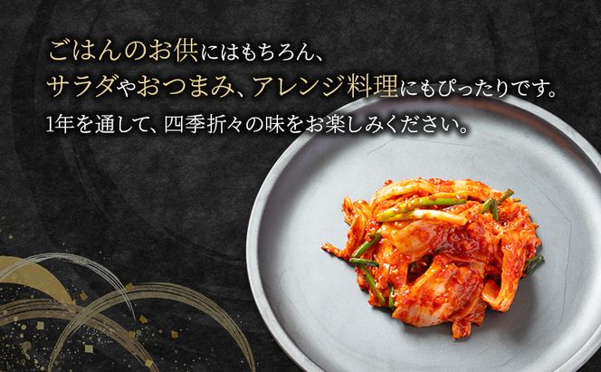 本場韓国キムチ定期便！ 12ヵ月 定番の人気3種+おすすめ1種 キムチ おつまみ 韓国食材 韓国料理 静岡県 袋井市