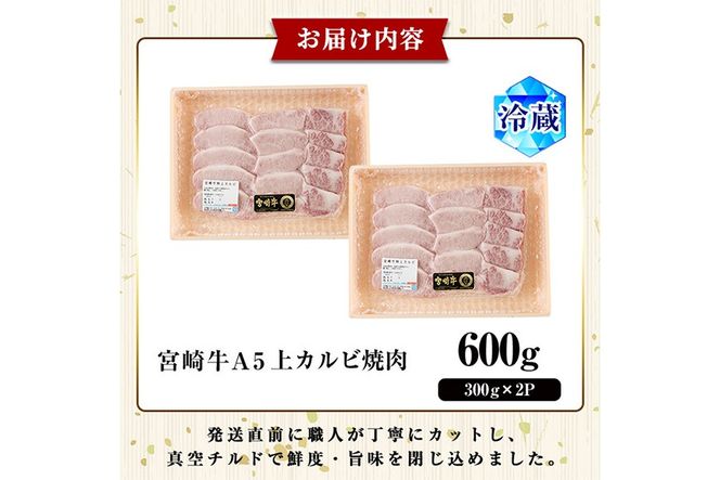 新鮮チルド便 宮崎牛 A5 上カルビ(計600g・300g×2P) 焼肉 カルビ 焼肉 和牛 BBQ アウトドア キャンプ 小分け パック 真空パック ブランド牛 ランク パーティー ご褒美 おかず【OT-02】【KNOT合同会社】