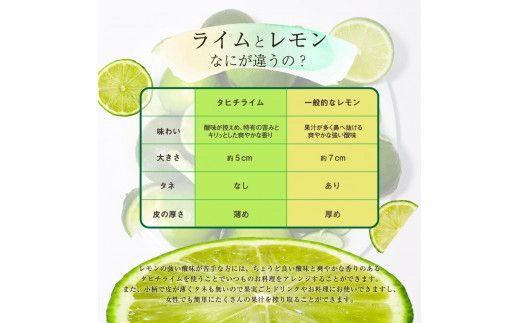 【CF-R7hbk】TSF002-1　訳ありタヒチライム 約1.5kg ライム 国産 種なし 柑橘類 かんきつ類 防腐剤不使用 ノーワックス 新鮮 冷蔵 家庭用 果物 くだもの フルーツ 芸西村 高知県産