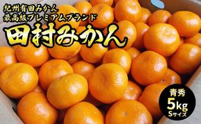 U6241n_【2026年先行予約】「高級 田村みかん」 青秀 約5kg Sサイズ 和歌山県有田産 有田みかん
