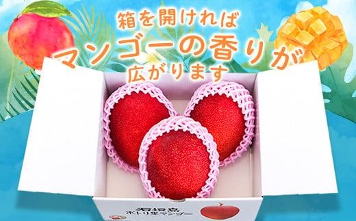 ＜先行予約＞「マンゴー」 ⽯垣島ど真ん中 まるま〜さん マンゴー 1kg (2～3玉) ≪2026年7月頃より順次発送予定≫ (アーウィン種)【 産地直送 マンゴー アーウィンマンゴー アップルマンゴー 沖縄県 八重山 石垣産 アーウィン種 マンゴー フルーツ 果物 】 IT-1