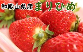 和歌山県 産ブランド いちご 「 まりひめ 」約300g×2パック入り / 果物 柑橘 甘い ※2027年4月上旬～4月下旬発送予定（お届け日指定不可） ※北海道・沖縄・離島への配送不可 【tec965A-4】
