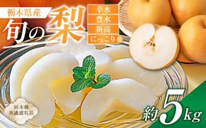 ns110-002-2 栃木県産　旬の梨　約5kg【栃木県共通返礼品】