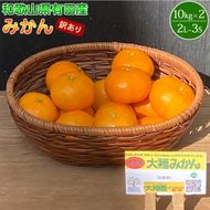 和歌山県有田産 みかん 約10kg×2箱 2L～3Sサイズ（おまかせ）【訳あり・家庭用】_BT6009
