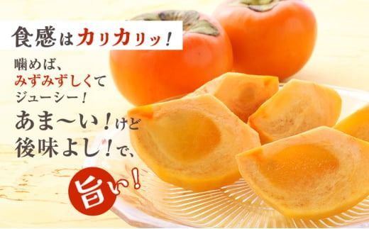 富有柿発祥の地から収穫翌日発送！【贈答用】富有柿3Lサイズ10個｜かき フルーツ カキ 果物 くだもの 産地直送 岐阜県 瑞穂市 お取り寄せ ※離島への配送不可 ※2025年11月～12月中旬頃に順次発送予定