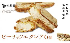 ピーナッツ エクレア 6個 甘い おいしい 美味しい ピーナツ スイーツ おうちカフェ お菓子 おやつ お取り寄せ 国産 茨城 特産品 母の日 [AR002us]