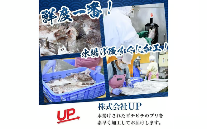 かぼすブリ フィーレ (2枚:約2kg) 期間限定 鰤 ブリ フィーレ フィレ ぶりしゃぶ 刺身 鰤しゃぶ 半身 魚 魚介類 養殖 大分県産 大分県 佐伯市【EW069】【Up】