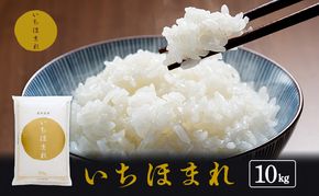 米 いちほまれ 10kg 精米 白米 お米 米 おこめ こめ コメ ご飯 ブランド米 令和7年産 福井 福井県 若狭町