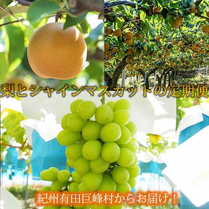 ya̎RLc쒬z 8E9 IBLcY{̃t[cZbgi×2kg  ϔEVC}XJbg×2kgj  AN069