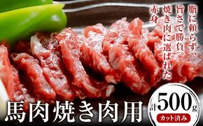 馬肉焼肉用 500g カット済 長洲町L（桜屋）《30日以内に出荷予定（土日祝除く）》熊本県 長洲町 送料無料 肉 馬肉 焼肉---sn_fskbnyk_60d_25_18500_500g---